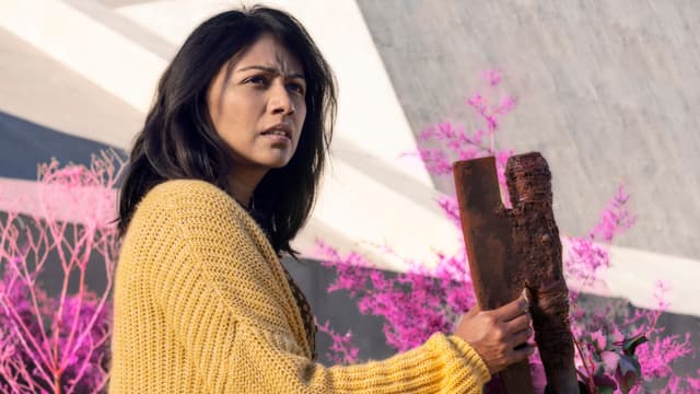 Episode 12